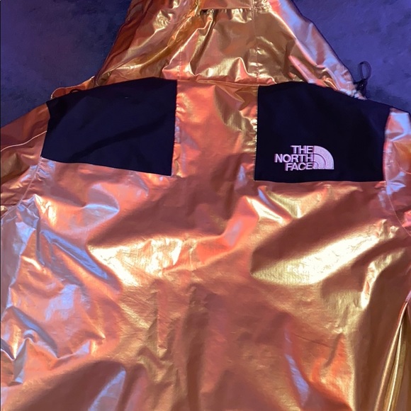 Supreme the north face metallic mountain